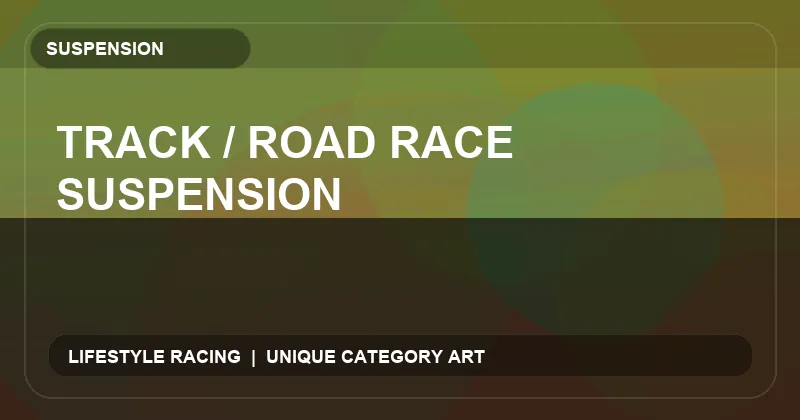 Track / Road Race Suspension